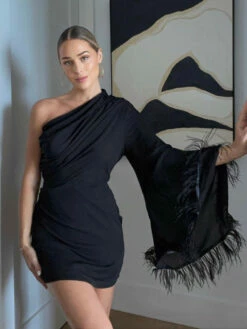 Size Small, Cleo One Sleeve Mini Dress - Black Feather-FINAL SALE