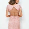 SIZE 2, Shay Lace Dress - Pink - FINAL SALE 2 SIZE 2, Shay Lace Dress - Pink - FINAL SALE -US Dress Sales Shop shay pink 3 79849.1598555676