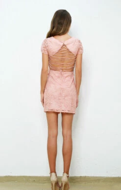 SIZE 2, Shay Lace Dress - Pink - FINAL SALE -US Dress Sales Shop shaypink 82140.1598555828