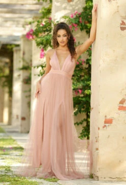 Sydney Maxi Dress - Blush 12 Sydney Maxi Dress - Blush -US Dress Sales Shop sydney blush 1 13749.1651090185