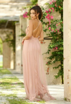Sydney Maxi Dress - Blush 14 Sydney Maxi Dress - Blush -US Dress Sales Shop sydney blush 4 66188.1651090185
